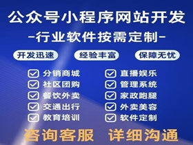 双鸭山网站开发